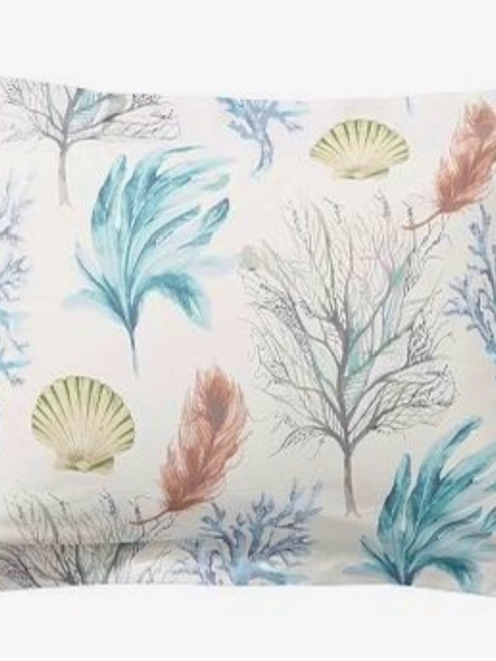 Pottery Barn Del Mar Coastal Percale Shams Standard (3)